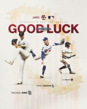 Image post by @bcbirdball on Instagram