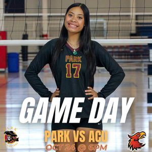 Image post by @parkugilbert_wvball on Instagram