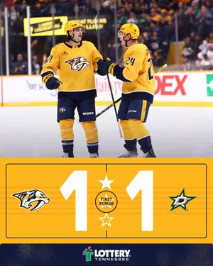 Image post by @PredsNHL on Twitter