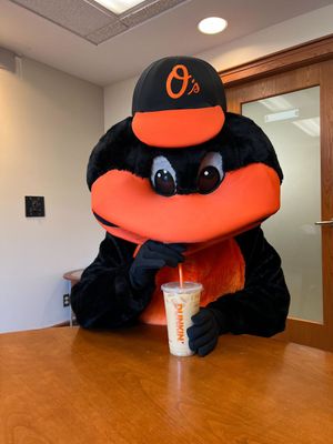 Image post by @OrioleBird on Twitter