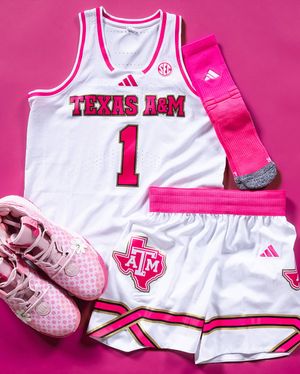 Image post by @aggiewbb on Instagram