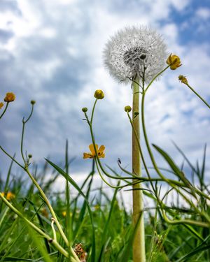 Image post by @cristan.nature.photography on Instagram