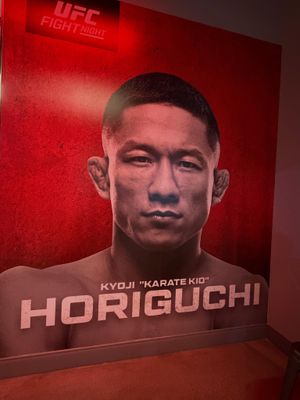 Image post by @ufc.japan on Instagram
