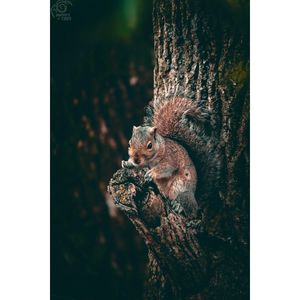 Image post by @photosbytrev20 on Instagram