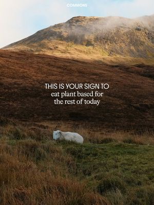 Image post by @commonsearth on Instagram