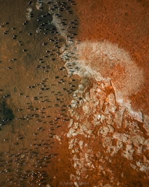 Image post by @droneartgallery on Instagram