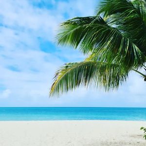 Image post by @phillwebster on Instagram