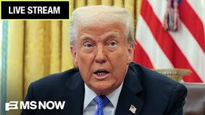 Video post by @msnbc on YouTube