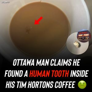 Image post by @shottawa.tv on Instagram