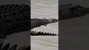 Video post by @60minutes on YouTube
