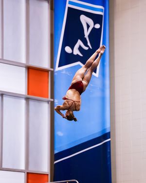 Image post by @arizonaswimdive on Instagram