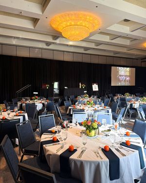 Image post by @company/levity-events on LinkedIn