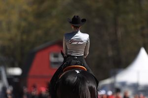 Image post by @ugaequestrian on Instagram