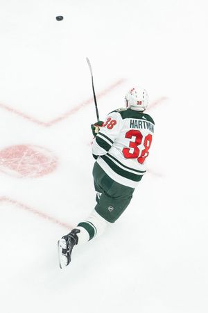 Image post by @mnwild on Twitter