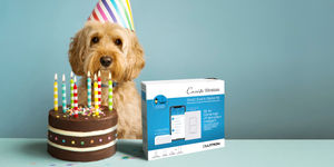 Image post by @Lutron on Twitter