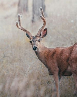 Image post by @kyle_petersen21 on Instagram