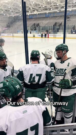 Video post by @fschockey on TikTok