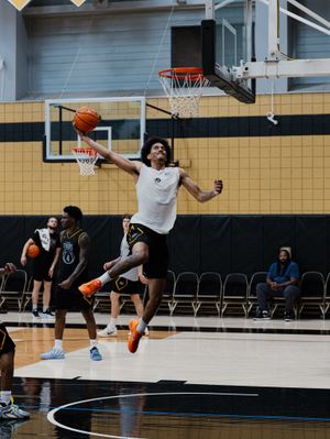 Image post by @mizzouhoops on Instagram
