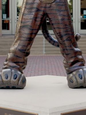 Image post by @aubiethetiger01 on Instagram