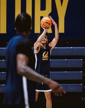 Image post by @calmbball on Instagram