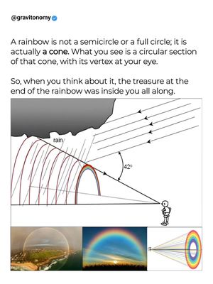 Image post by @gravitonomy on Instagram