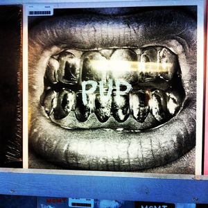 Image post by @puptheband on Instagram