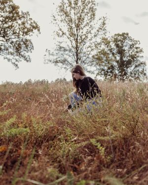 Image post by @sydneybphotography on Instagram
