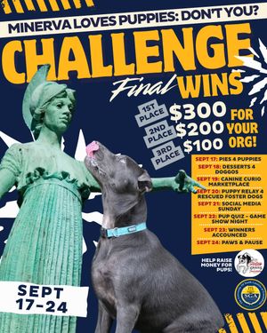 Image post by @uncg.sga on Instagram