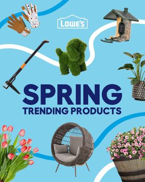 Video post by @lowes on TikTok