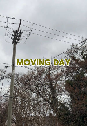 Video post by @lexy.meyers on TikTok