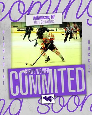 Image post by @highpointud2hockey on Instagram