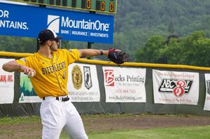 Image post by @steeplecats on Instagram