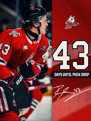 Image post by @ohlicedogs on Instagram