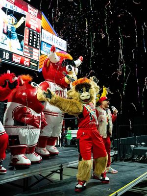 Image post by @windycitygus on Instagram