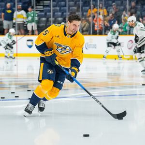 Image post by @PredsNHL on Twitter/X