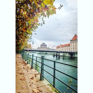 Image post by @haneefshareef on Instagram