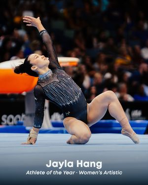Image post by @usagym on Instagram