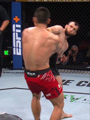 Video post by @ufc on TikTok