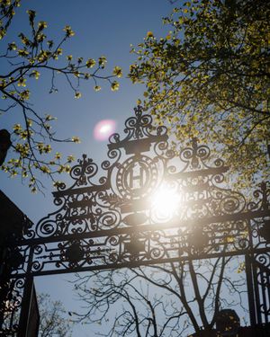 Image post by @harvard on Instagram
