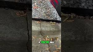 Video post by @developingsam1597 on YouTube