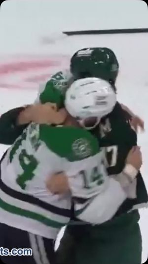 Video post by @hockeyfights on Instagram