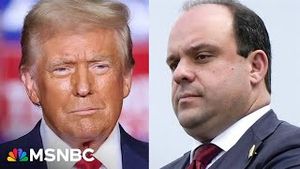 Video post by @msnbc on YouTube