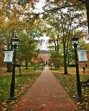 Image post by @ohio.university on Instagram