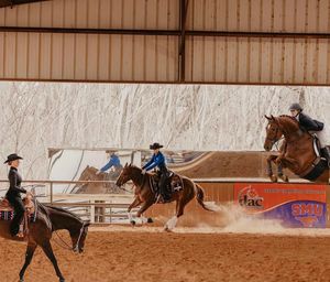 Image post by @smuequestrian on Instagram