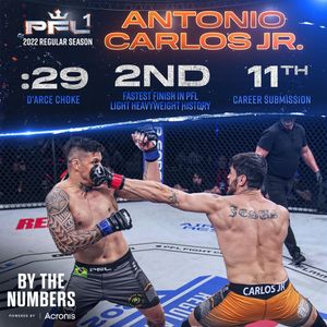 Image post by @pflmma on Instagram