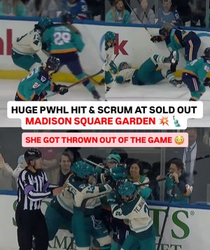 Image post by @br_openice on Instagram