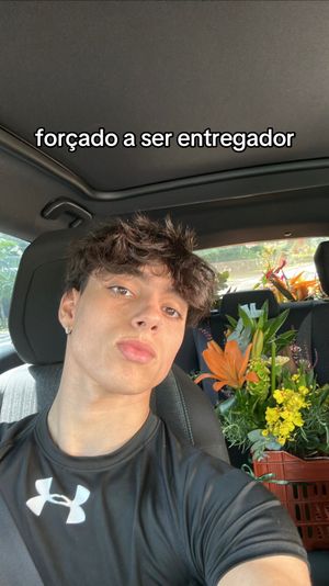 Video post by @joaovseno on TikTok