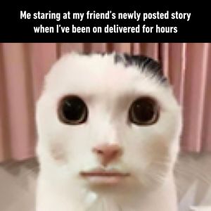 Image post by @9gag on Instagram