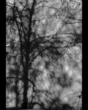 Image post by @W.39thPhotos on Facebook