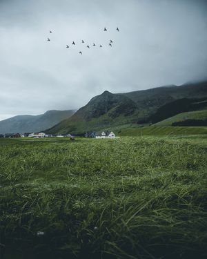 Image post by @kszczuka on Instagram